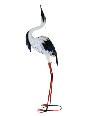 White Egret - Head Up