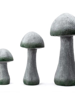 Grey Mushrooms
