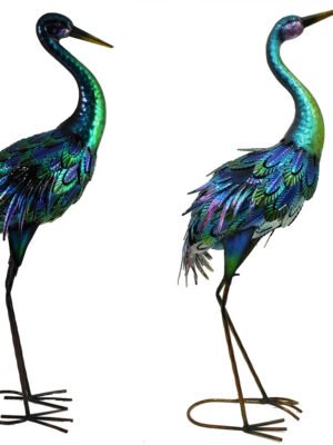 Standing Blue Egret