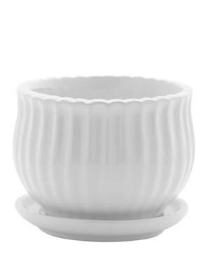 White Scalloped Pot with Saucer