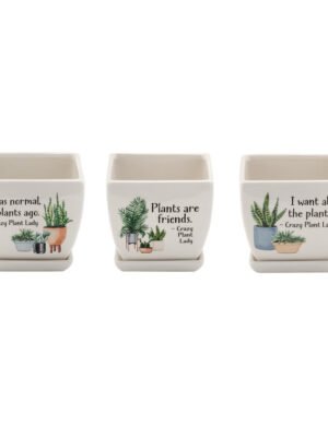 Witty Square Planter 4In
