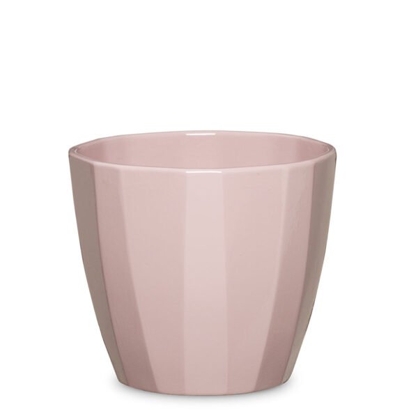 Elegance Pot Rose